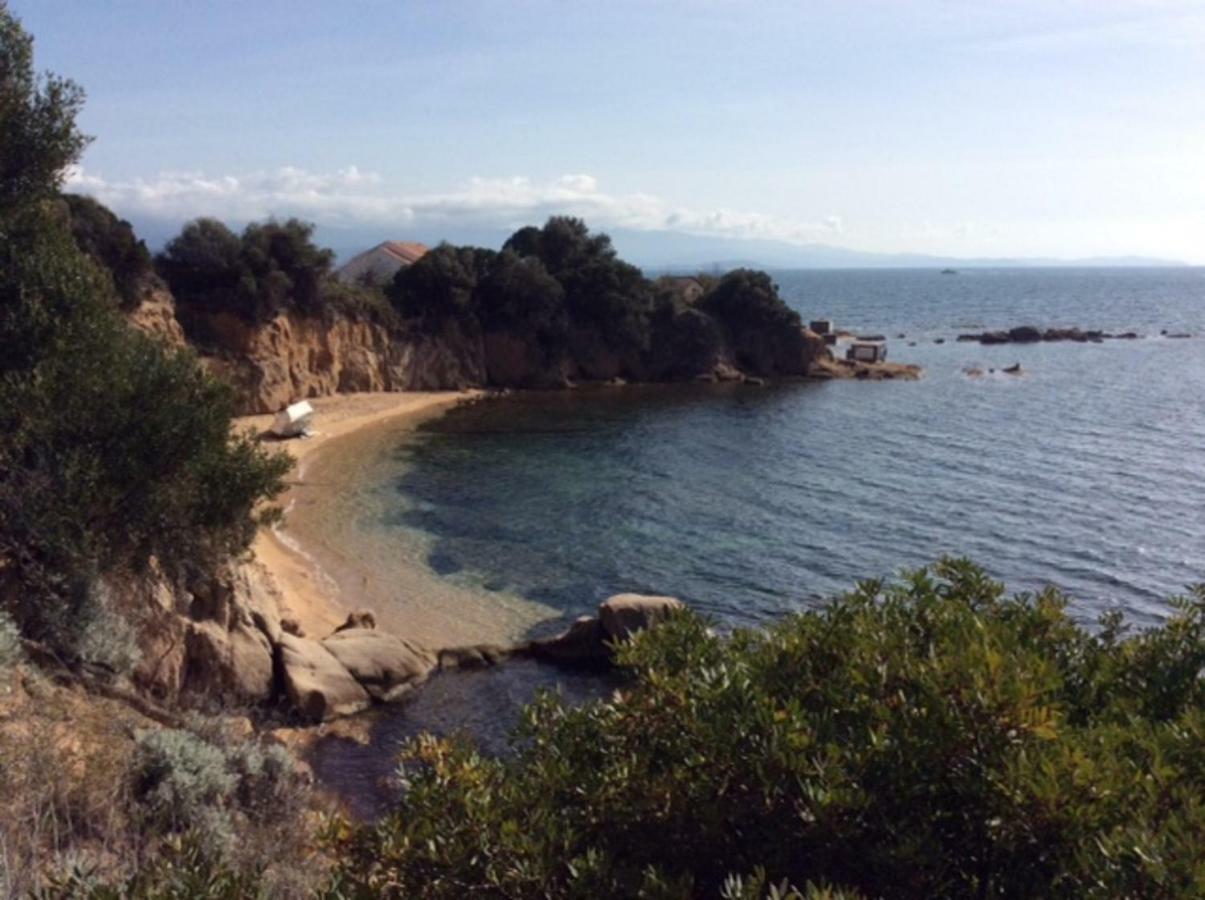 Villa D'Exception, Piscine, Vue Mer, Plage A 100M Ajaccio  Exterior foto